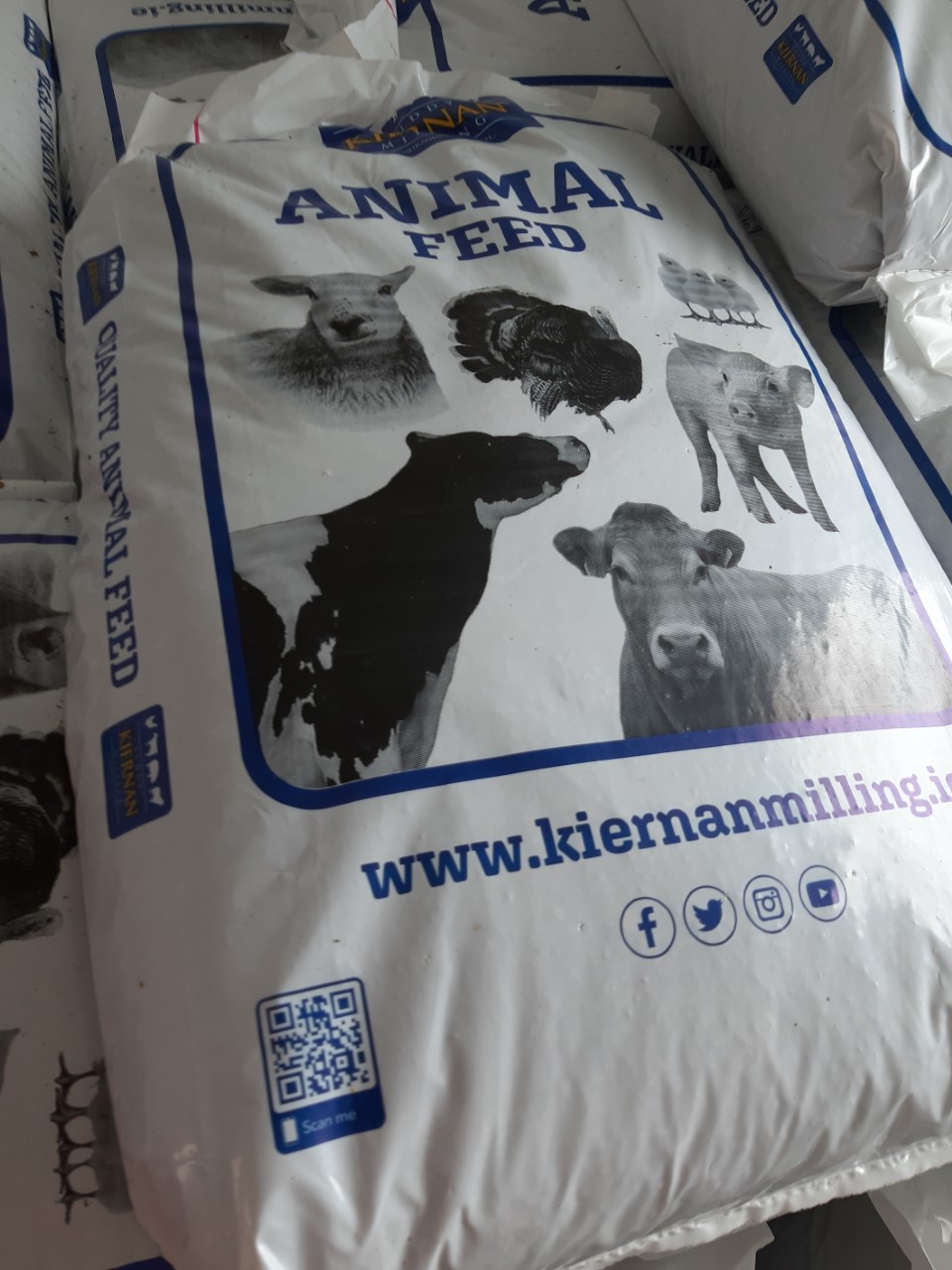 Alpaca feed Tinryland Alpacas Specialist camelid feed